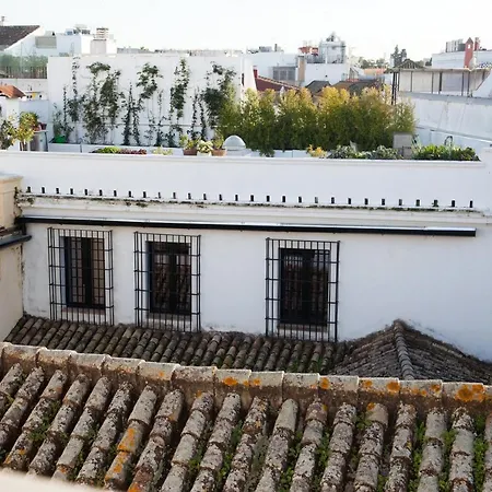 Appartement Guzman El Bueno *